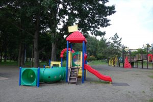 コンビネーション遊具の写真