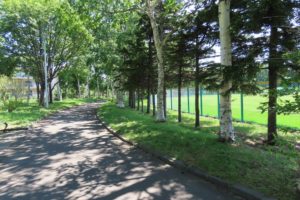 ツリバナのある園路の写真