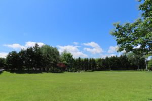 芝生広場と青空の写真