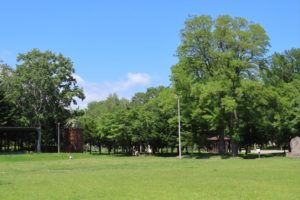 芝生広場とサイロの写真