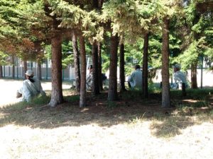 木陰で休憩中のスタッフの写真