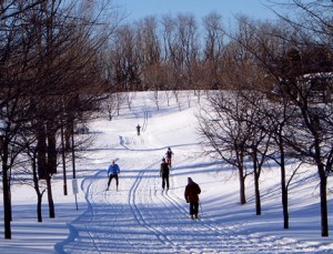 冬の定番歩くスキーの写真