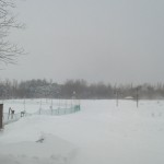 「雪上パークゴルフお休みのお知らせ」の画像