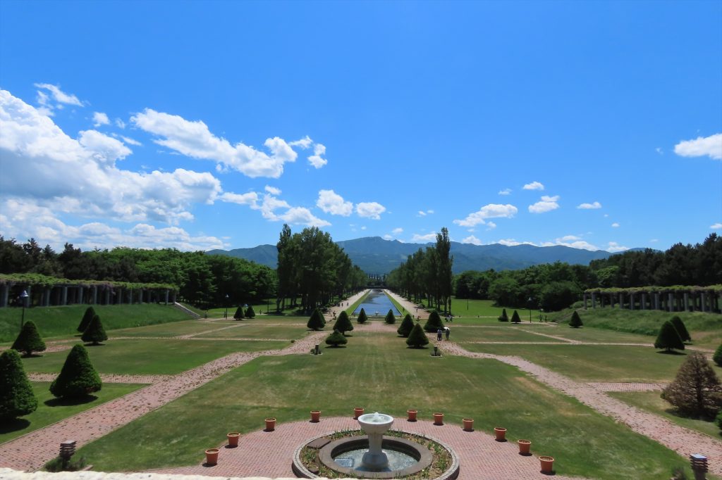 青空のカナールの写真