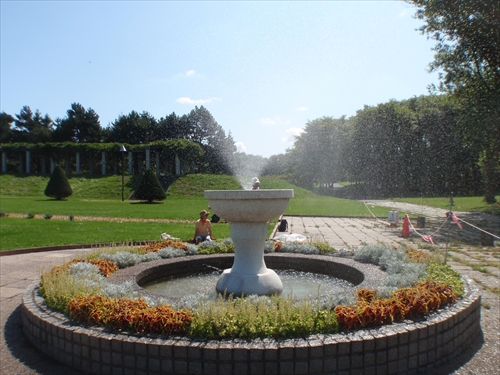 「森林クリーンボランティアの活動」の画像