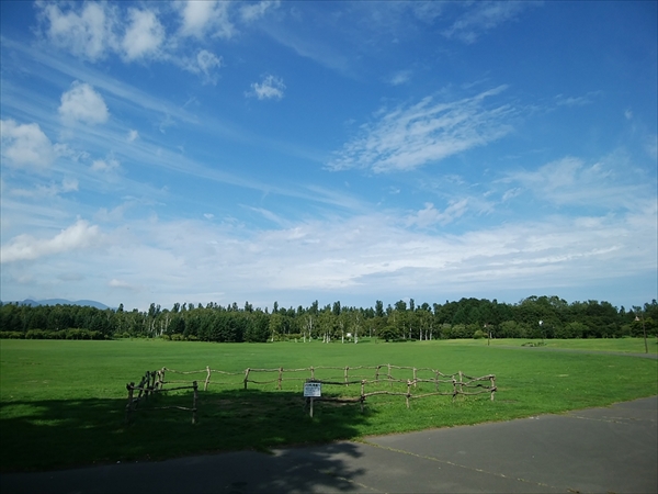 「今日の園内」の画像