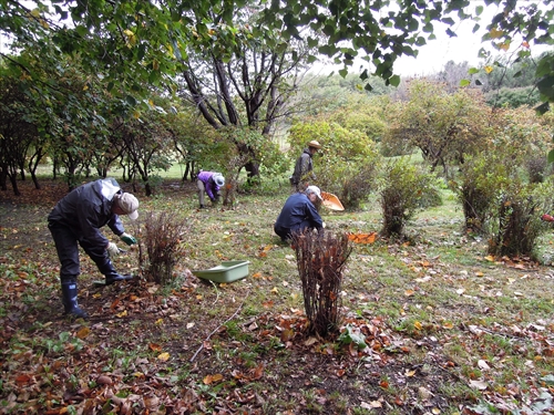 「森林公園ボランティアの活動」の画像