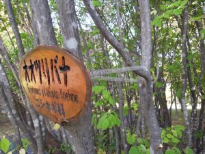 オオツリバナの樹名板の写真