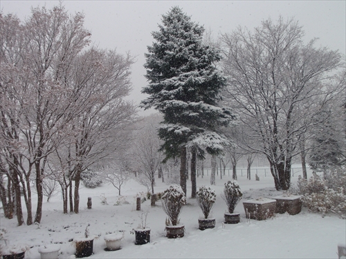 「11月15日パークゴルフ閉場のお知らせ」の画像