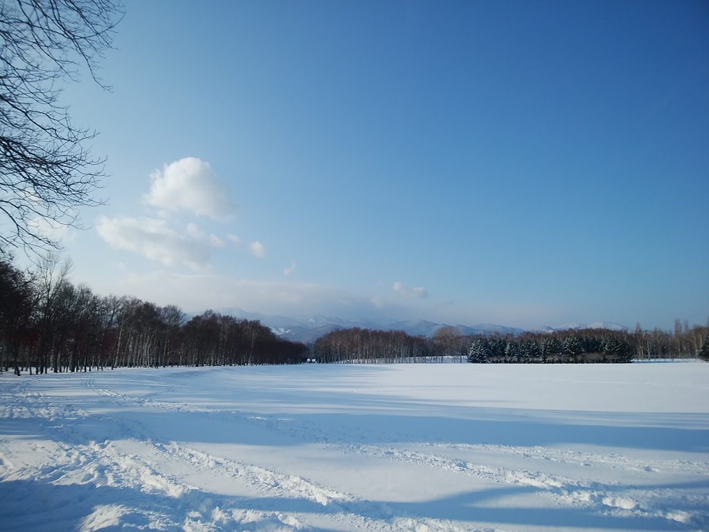 「今日の園内」の画像