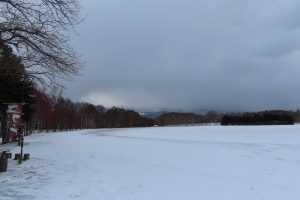 2019年12月15日の園内の写真