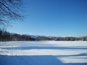 「園内の様子」の画像