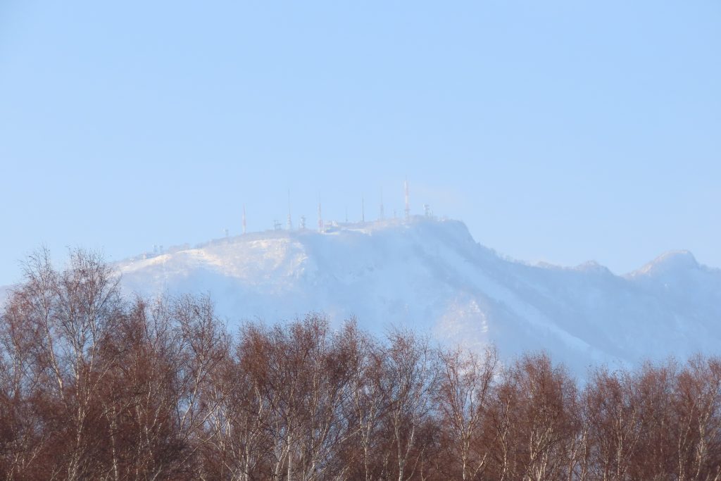 「最近の園内」の画像