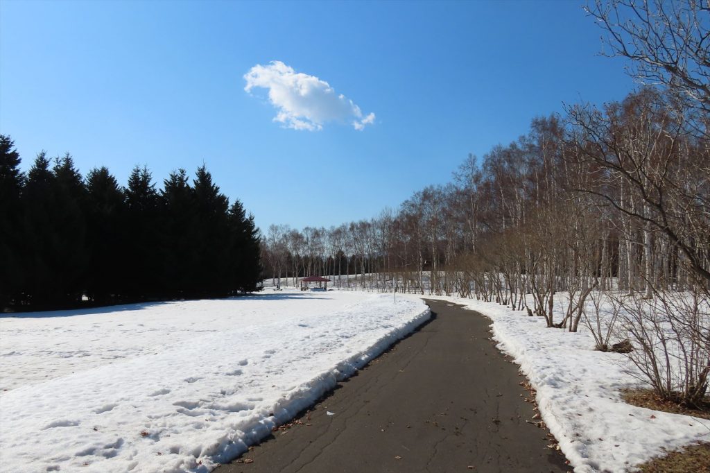 雪割をした園路の写真