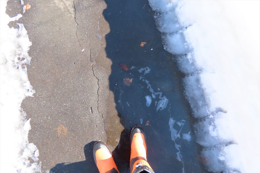 薄く氷が張った園路の写真