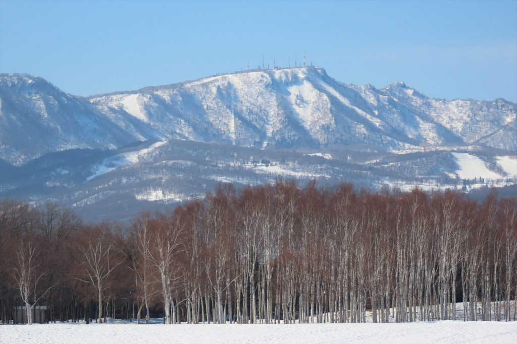 「本日の園内」の画像