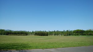 「本日の公園」の画像