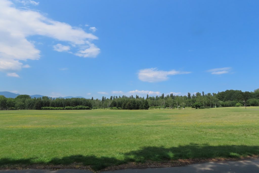 「今日の公園」の画像