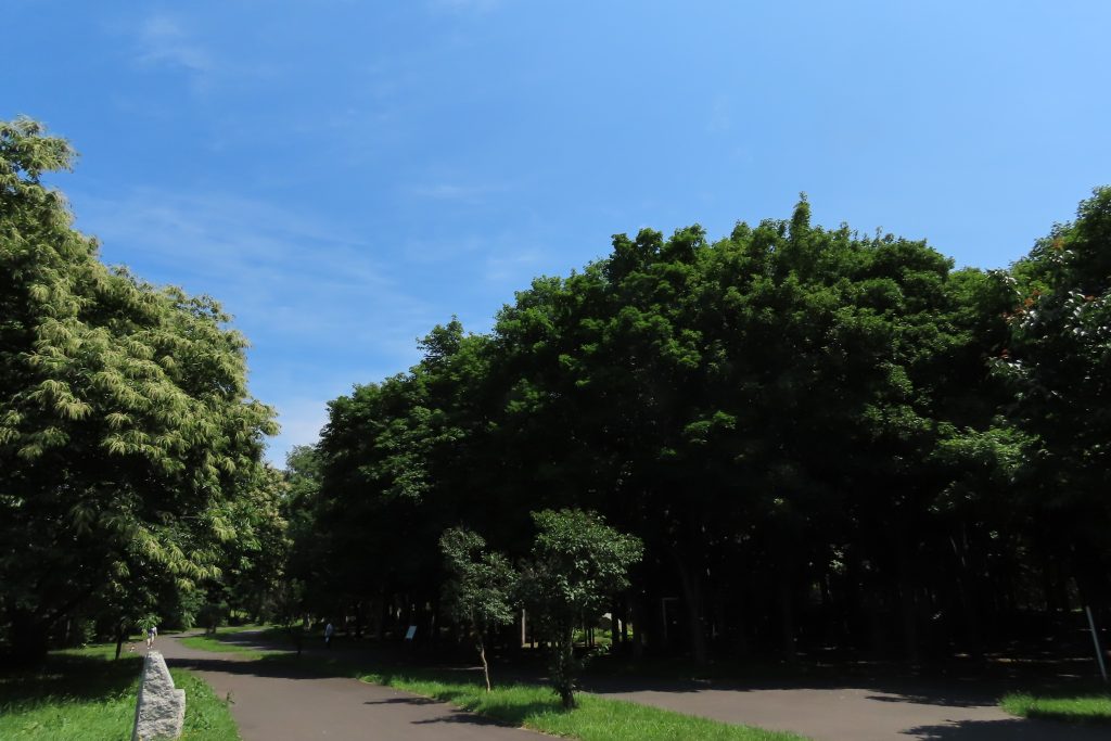 園路と木の写真