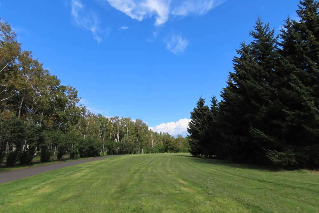 「秋の気配」の画像