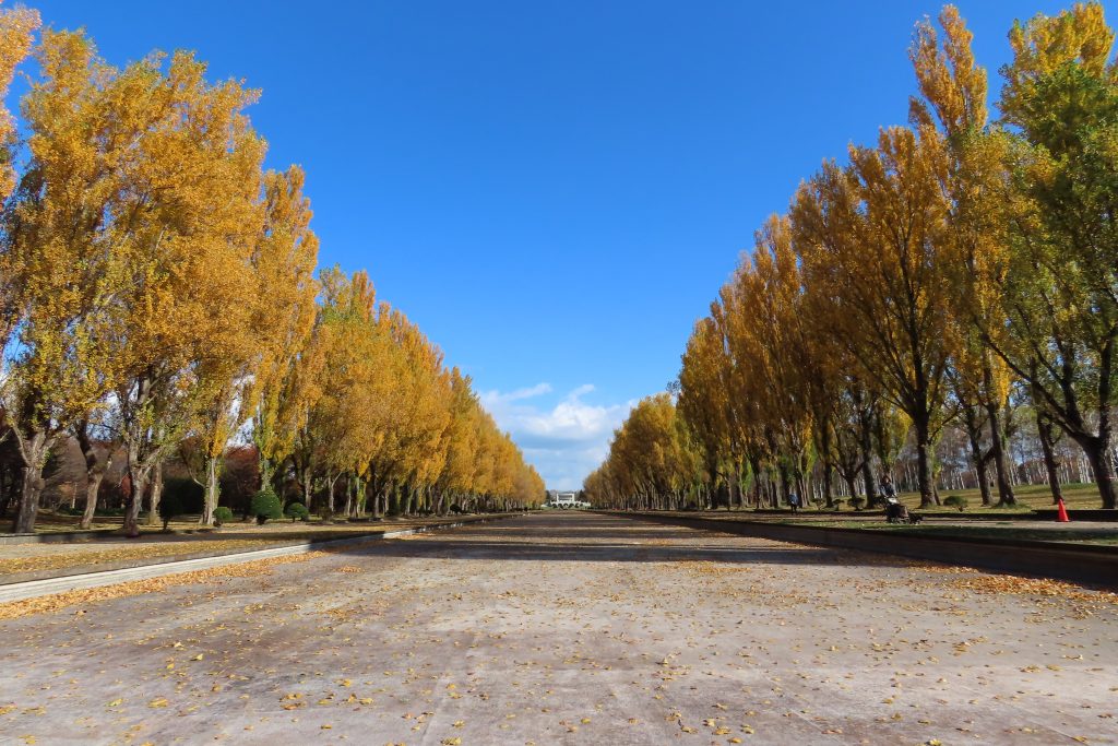 「今日の園内」の画像