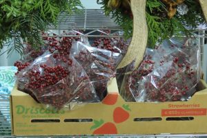 ローズヒップの実の写真