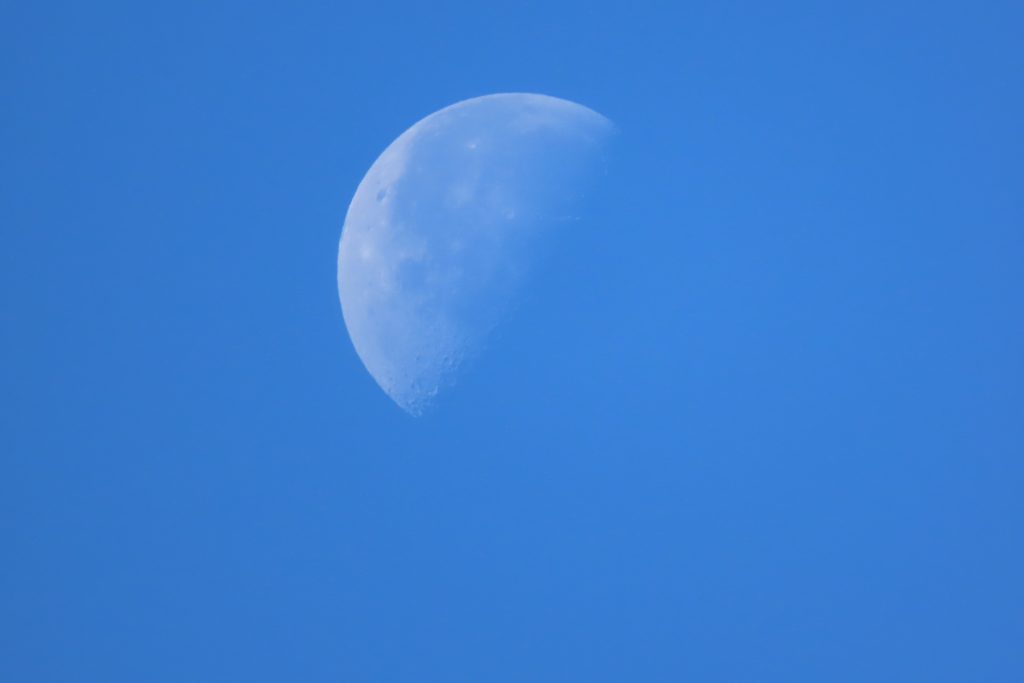 月のアップの写真