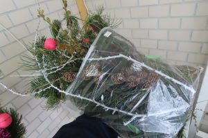 袋づめの松のアップ写真