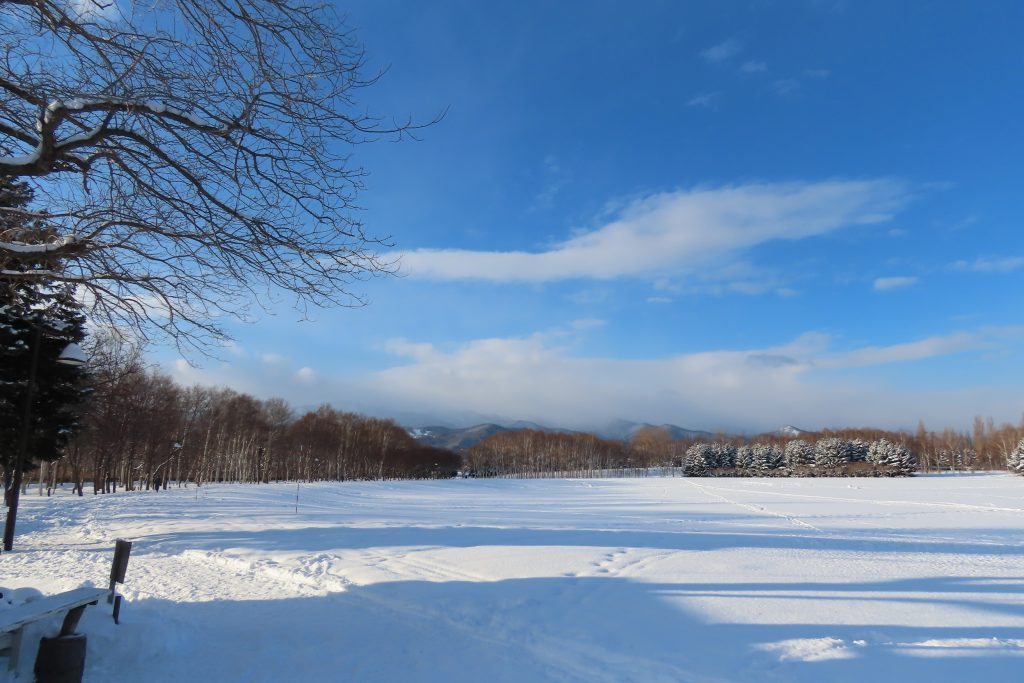 芝日広場から手稲山に向かっての雪原の写真