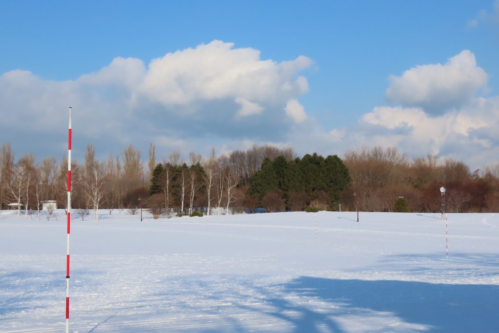 真っ白な雪原になっている芝生広場の写真