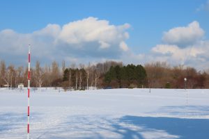 真っ白な雪原になっている芝生広場の写真
