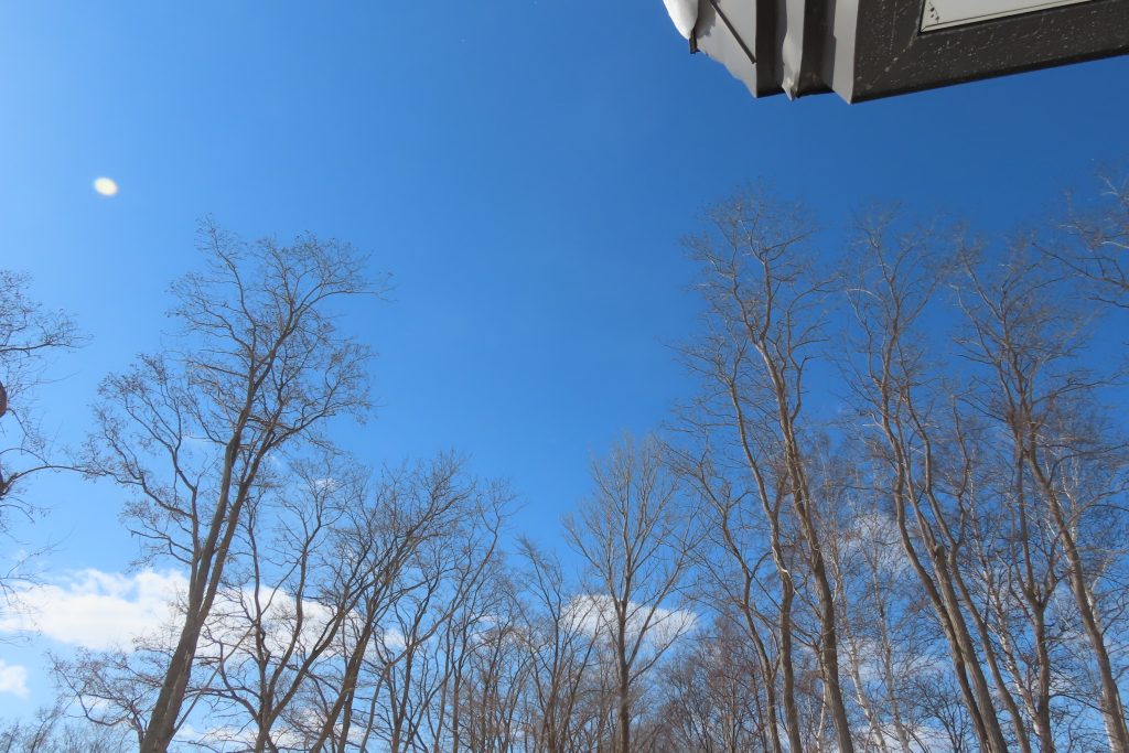 冬の青空の写真