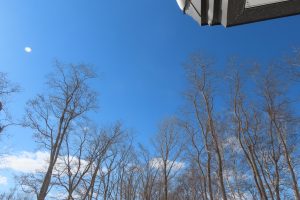 冬の青空の写真