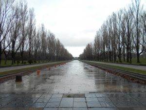 「春のカナール清掃を実施しました。」の画像