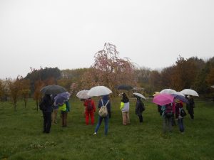 春の自然観察会