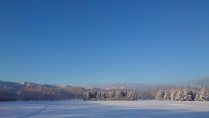 「クロスカントリースキー初心者講習会を実施いたしました。」の画像