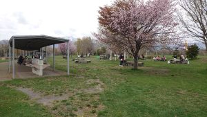 バーベキュー広場の様子