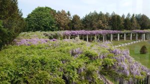 展望ラウンジから