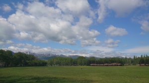 「今年初トンカチ広場開催」の画像