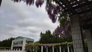 「園内の様子」の画像