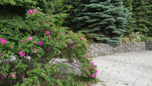 休憩舎ハマナス