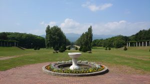 「園内の様子」の画像