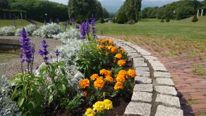 サンクガーデン噴水花壇の様子