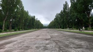 カナール清掃前