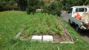 対面花壇着手前