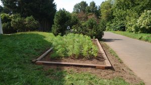 対面側花壇完了