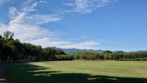 「ボランティア活動を実施しました。」の画像