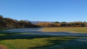 「園内の様子」の画像