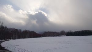 「12月のイベント情報」の画像