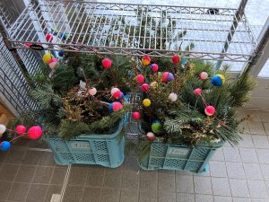 松繭玉詰め合わせ